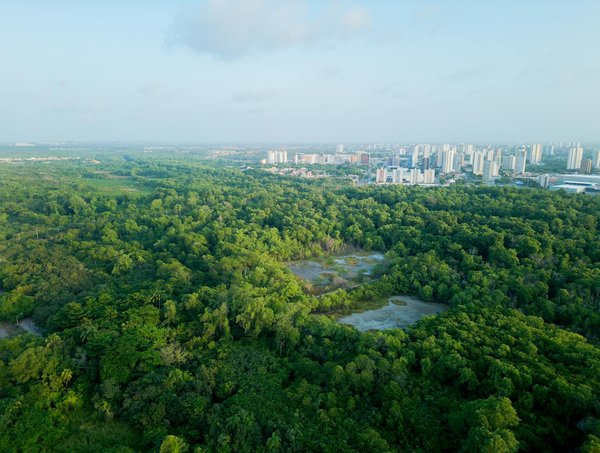 Maximisez profits avec la formation en investissement immobilier